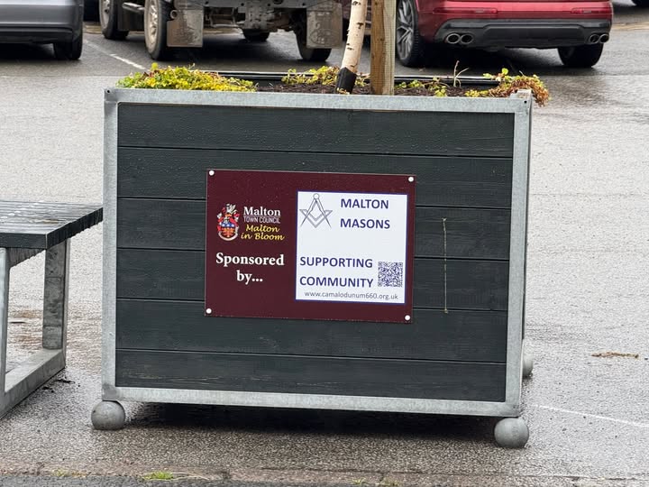 malton planter